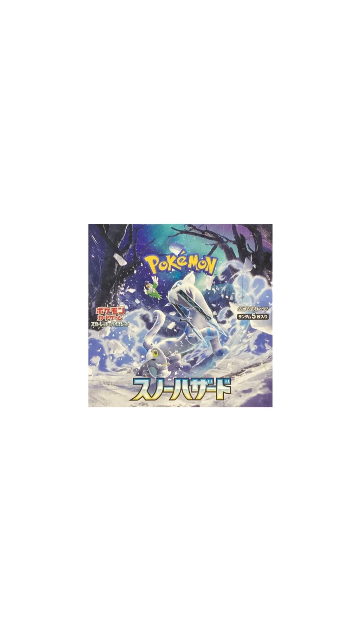 Box Pokémon Snow Hazard